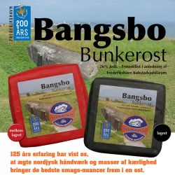 01 bangsbo